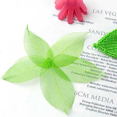 Craft Embellishments - Hojas de Catbrier Naturales, Adornos Verdes