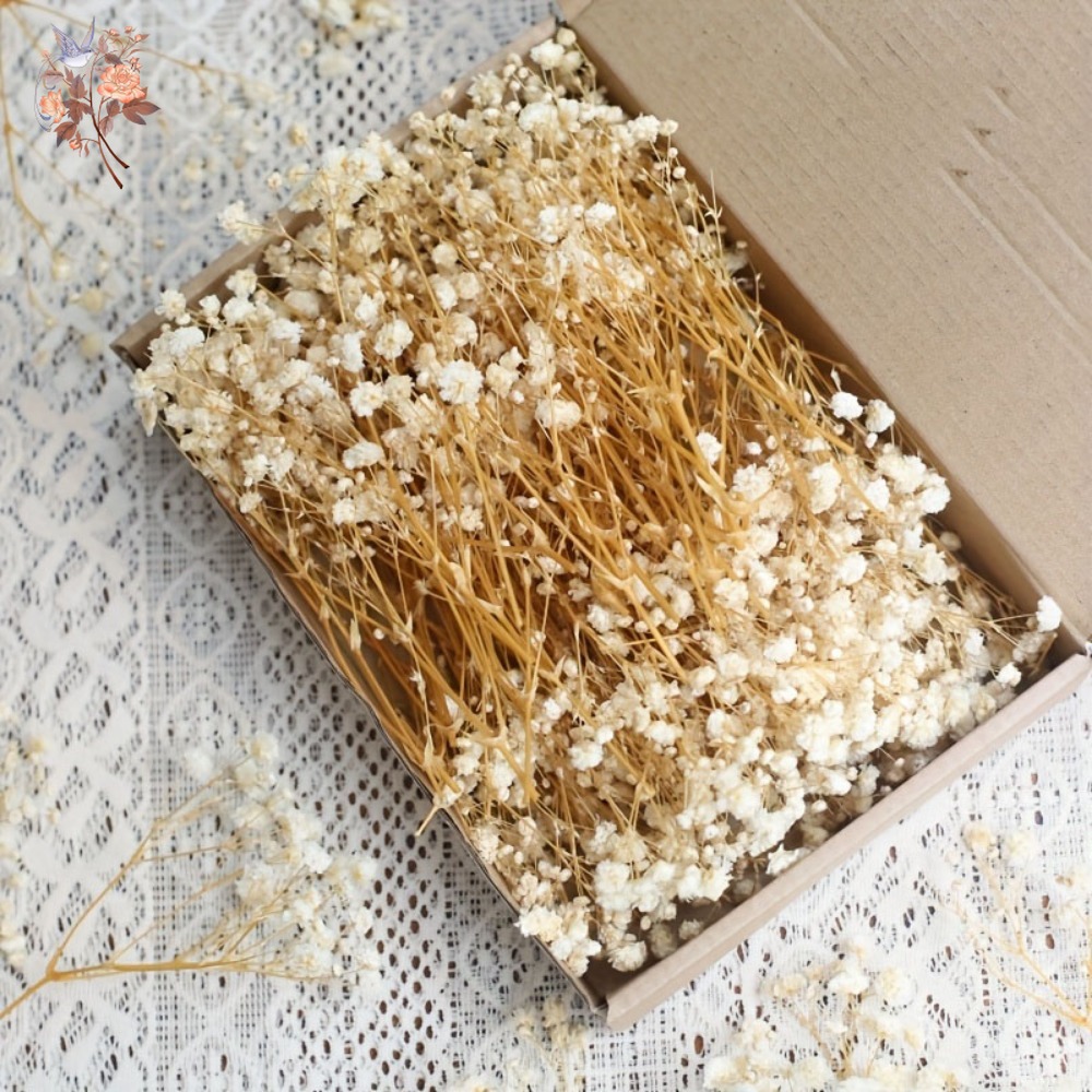 Craft Embellishments - 100 Piezas de Flores Secas de