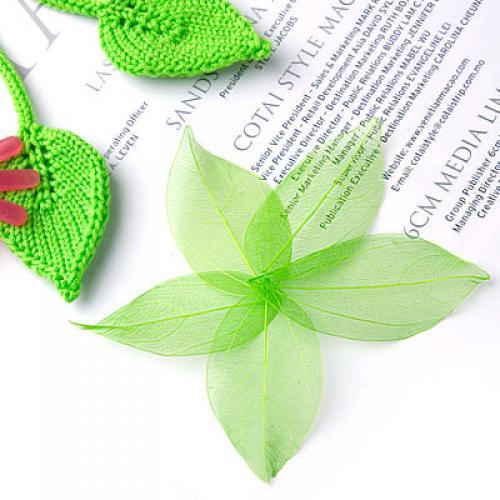 Hojas de Catbrier Naturales, A - Craft Embellishments reseña y precio