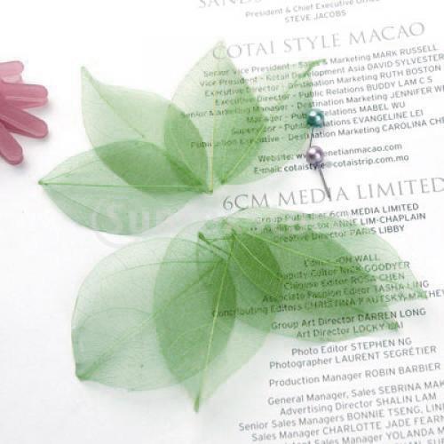 Hojas de Catbrier Naturales, A - Craft Embellishments reseña y precio