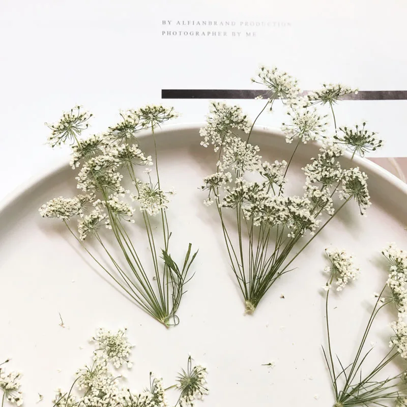 5-7 cm/12 piezas, flores peque - Craft Embellishments reseña y precio