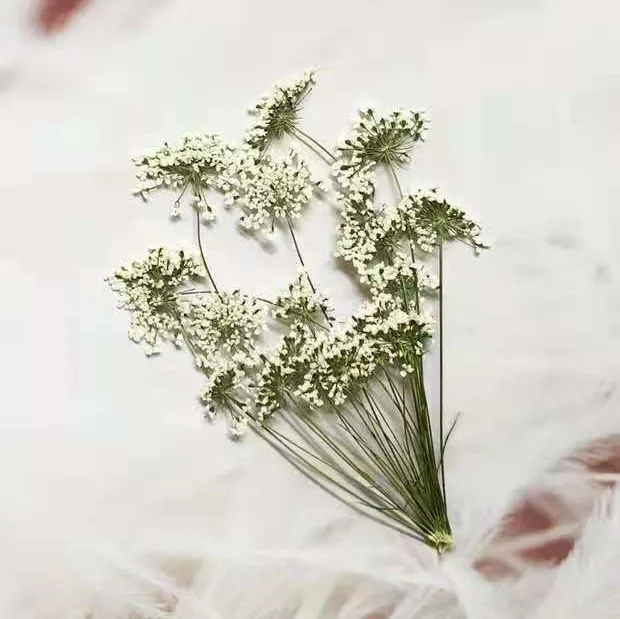 5-7 cm/12 piezas, flores peque - Craft Embellishments reseña y precio
