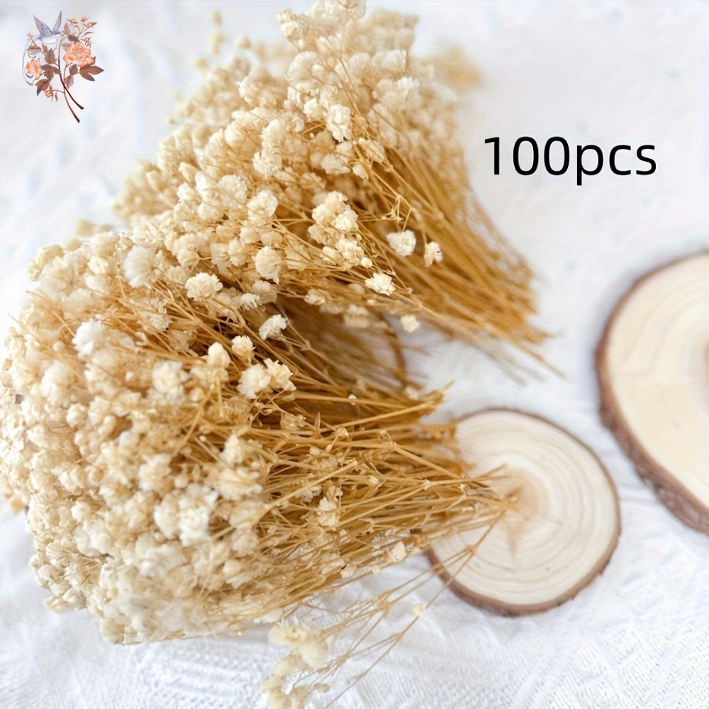 100 Piezas de Flores Secas de  - Craft Embellishments reseña y precio